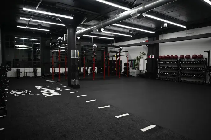 The Alpine Gym