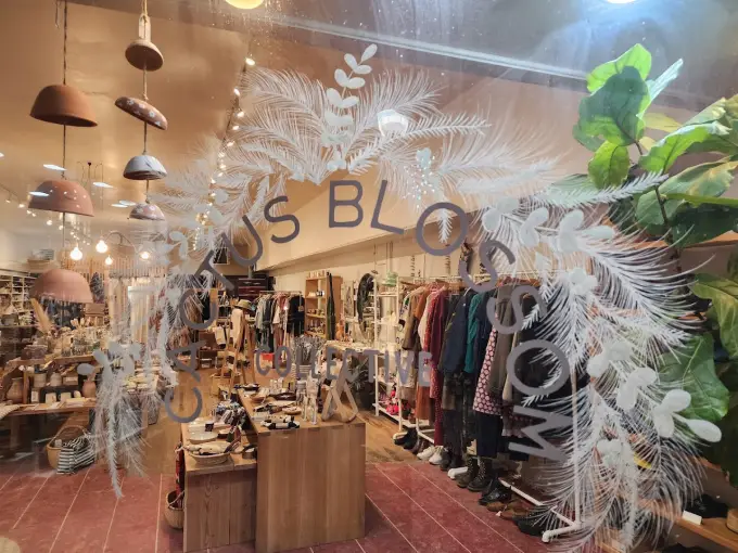 Cactus Blossom Collective